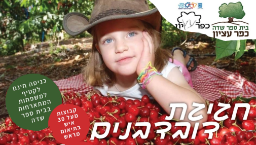 חגיגת לתפריט גדול_20240502161825.098.png
